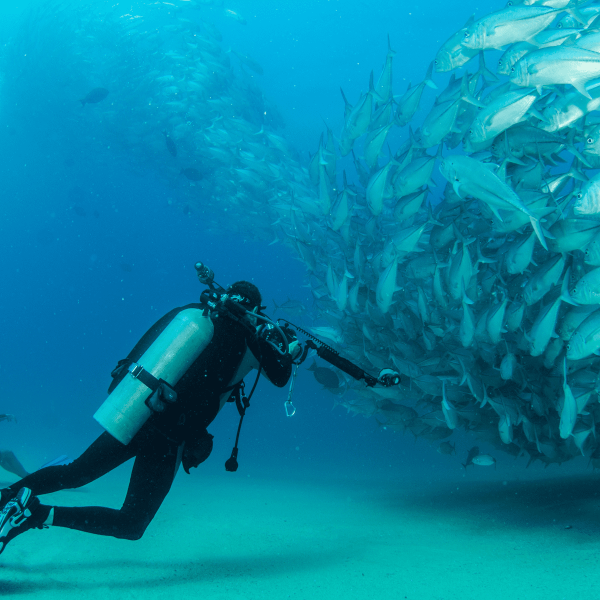 Buceo
