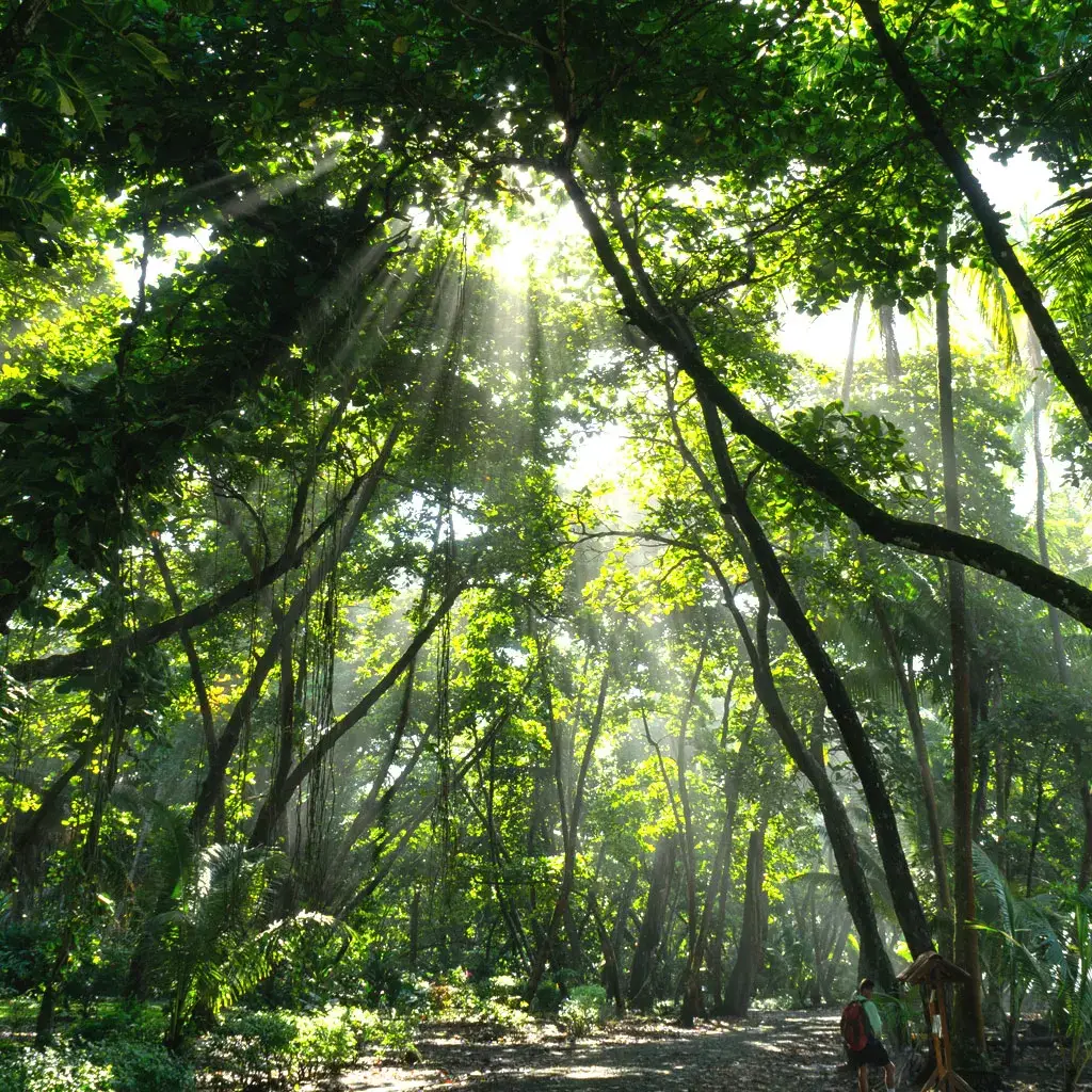 Corcovado National Park