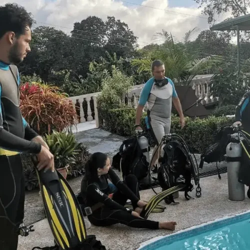 about-us-diving-drake-bay-01.webp