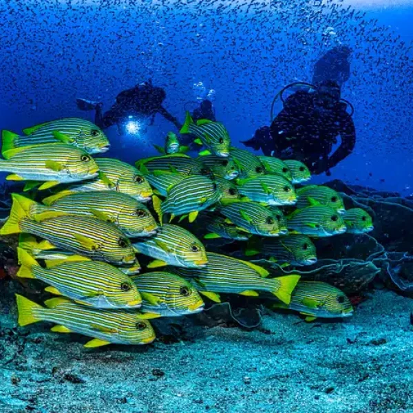 buceo-cr-06
