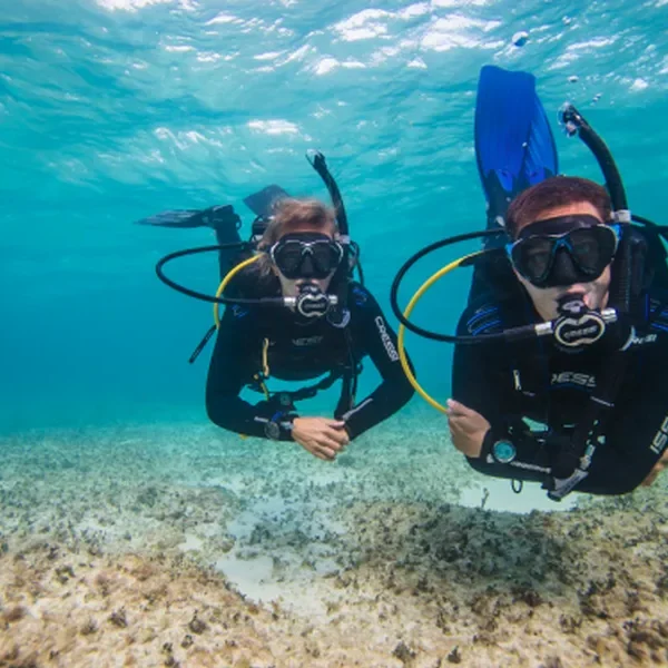 discover scuba divers