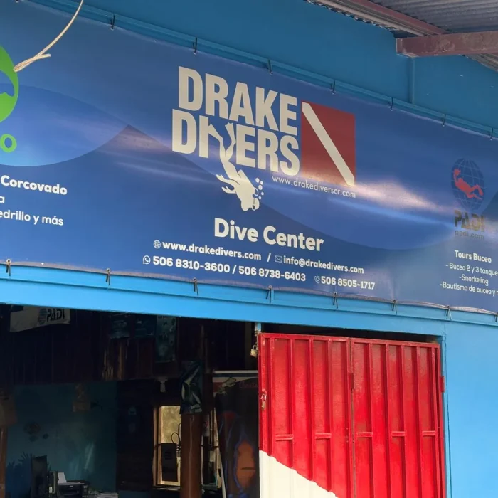 drakedivers.webp